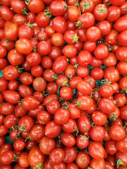 Molho de Tomate (340g)