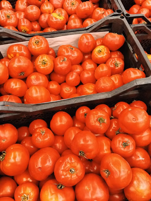 Sabão em Pó (1kg)