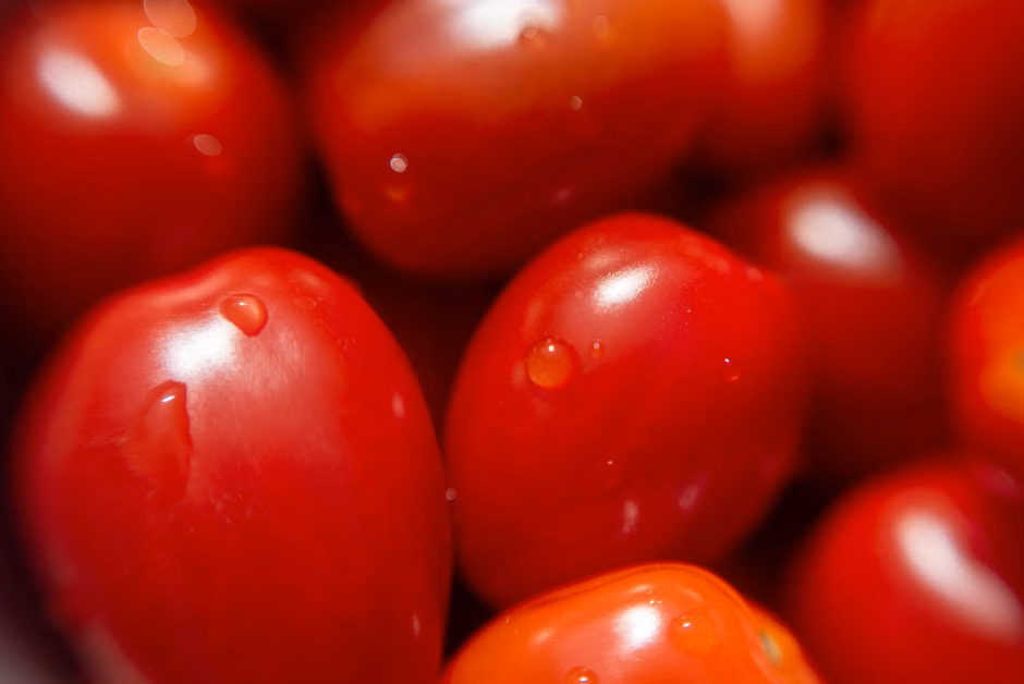 Tomate Italiano (kg)